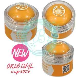 Apricot & Agave Fragrance Dome